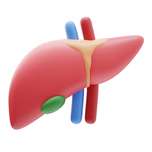 liver gallbladder meals
